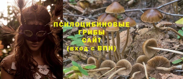 spice Алзамай