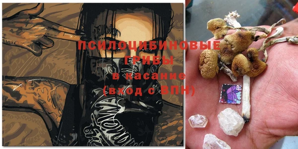 spice Алзамай