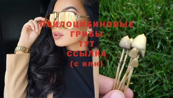 spice Алзамай
