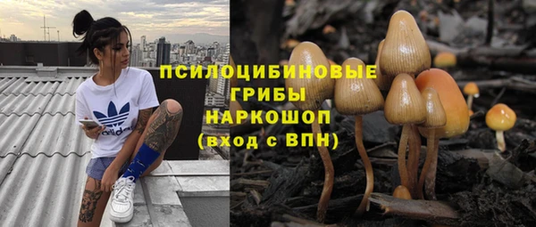 твердый Алексин