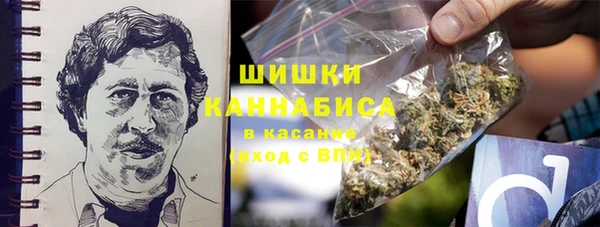 твердый Алексин