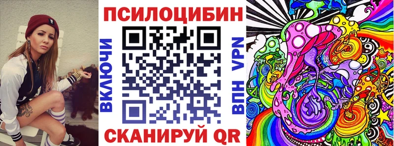 где найти наркотики  Никольское  Галлюциногенные грибы Psilocybine cubensis 
